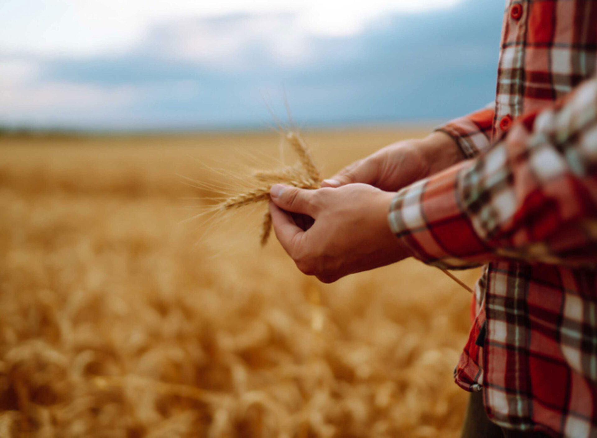Agriculture