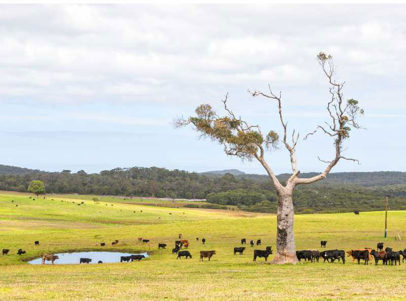 Agriculture 2